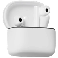 Earbuds